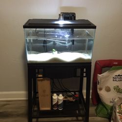 Fish Tank / Pecera 