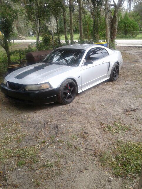 Mustang Gt