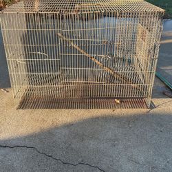 Bird Cage 