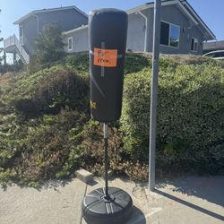Free Punching Bag 