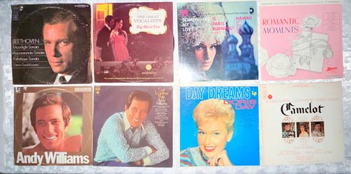 Lot of 24 Vintage Vinyl LPs Disc Large Disc Collection