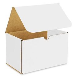 55 - 8 x 5 x 5" White Indestructo Mailers