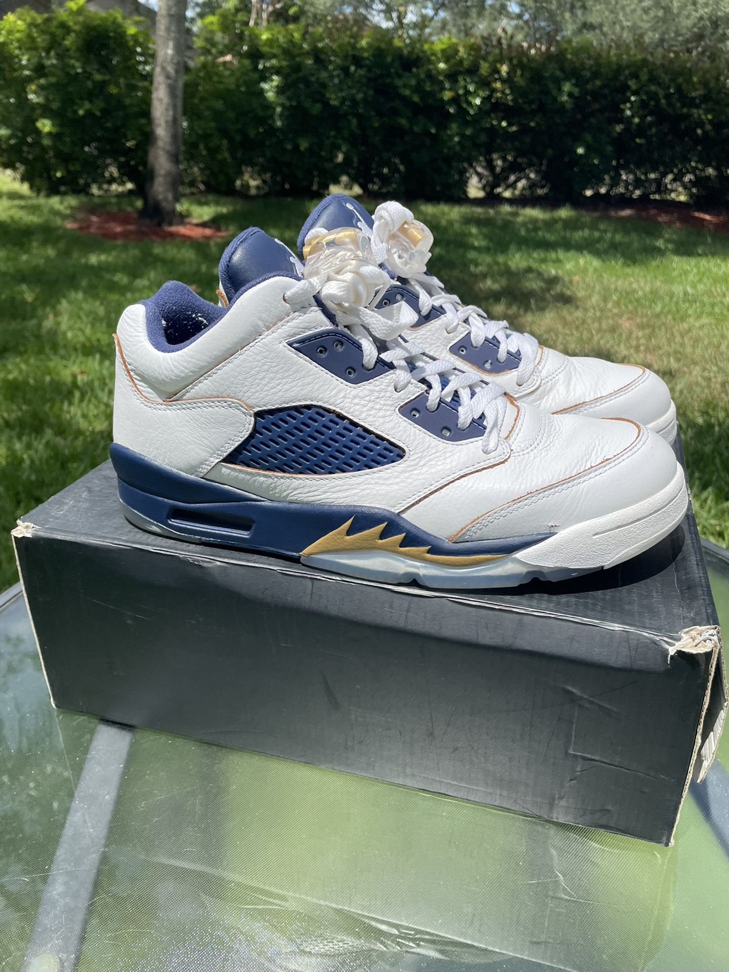 Jordan Low Dunk From Above