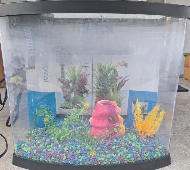 Send Offers Deal Brand New Fish And Fish Tank And Fish Food