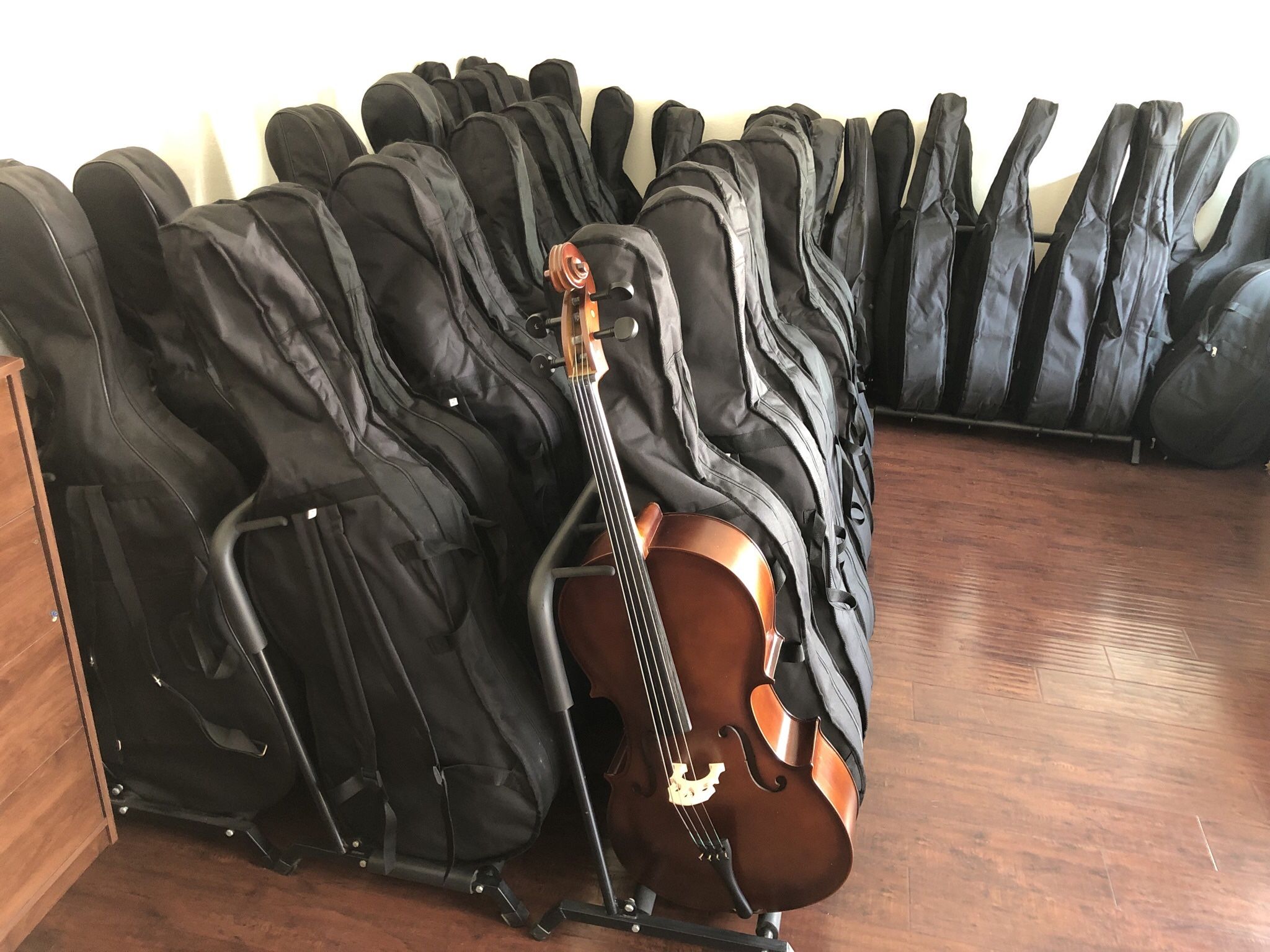 New Cello