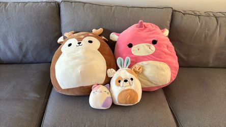 2 large, 2 small squishmallows