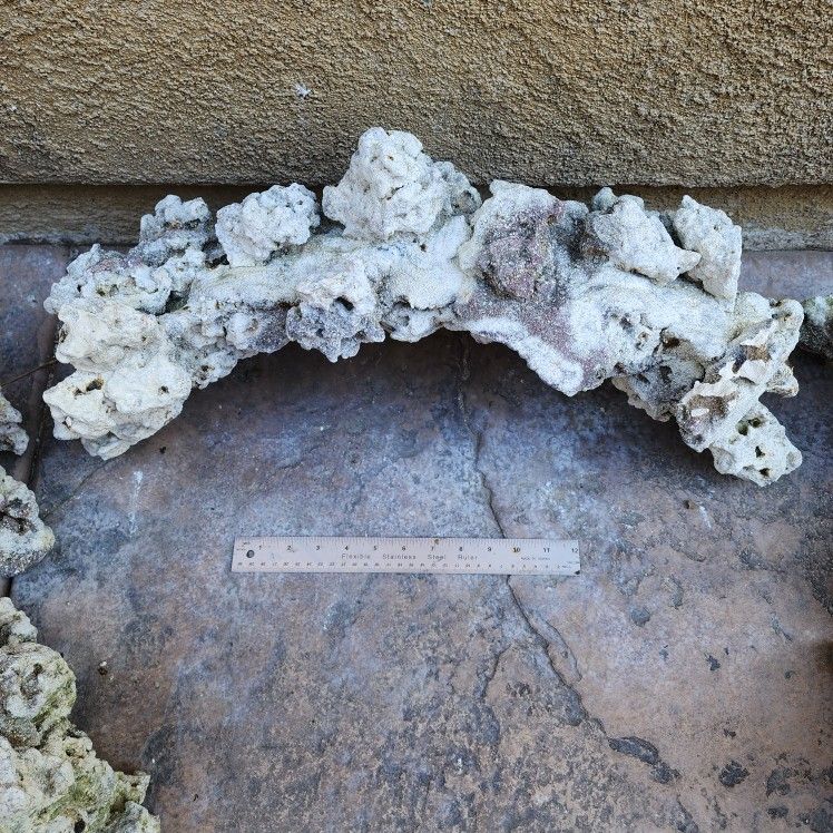 Caribsea XL Liferock Arch