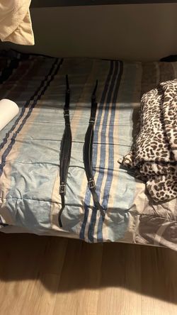 Accoridon straps