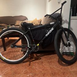Throne29er 