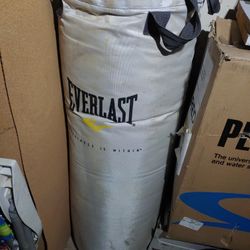 Everlast Boxing Bag