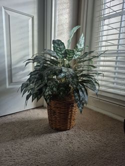 Planta artificial