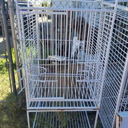 Medium sized parrot cage