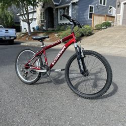 Boys Mountain Bike