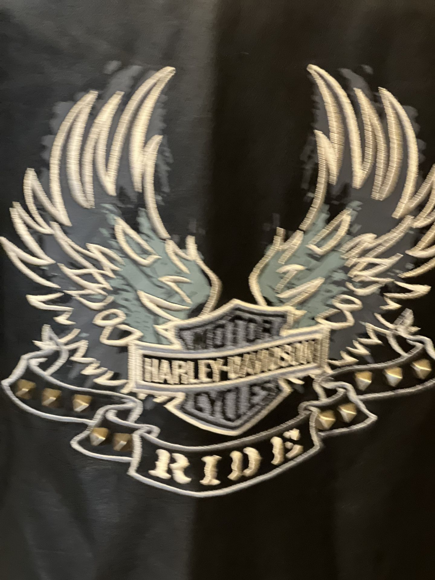 womans large harley Davidson Jacket Buy It Now Before It’s Gone