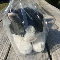 Aurora Flopsie Plush Cats (new)