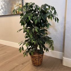 43” Tall Ficus Tree- Maple Tree- Artificial Plant- Artificial Tree w/ Wicker Planter Pot