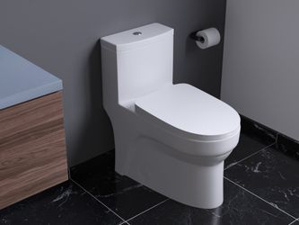 One Piece Toilet Special Pricing