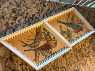 Vintage Bird Lithograph Prints by P. H. Gonner