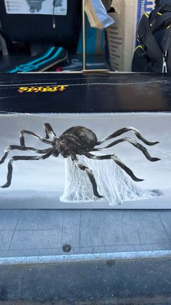 Spirit Black Jumping Spider Halloween decor