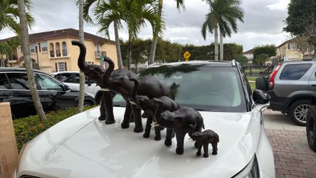 Elephants family/ Familia De Elefantes