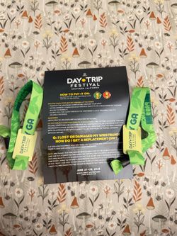 DayTrip Wristband Saturday & Sunday