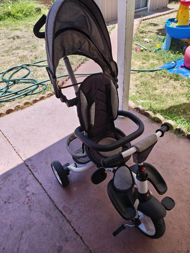 Costway Elite Tricycle