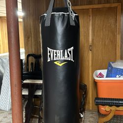 Everlast Punching Bag