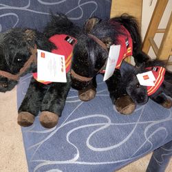 2016 Wells Fargo Ponies 