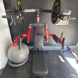 Deltoid and Shoulder Press Machine, Lateral Raise Machine