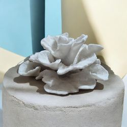 Coral Sculpture