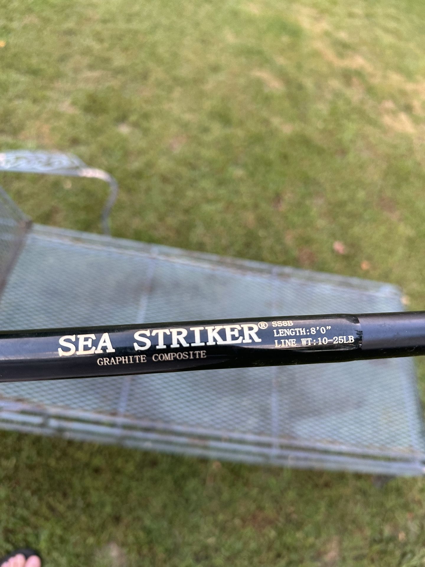 Sea Strike Spinning Fishing Rod