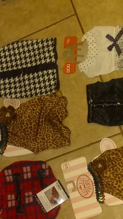 Small and extra small dog outfits