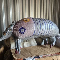 Stuffed Armadillo Taxidermy 