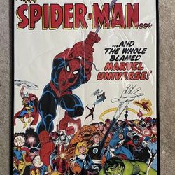 Rare 1983 Spider-Man Poster