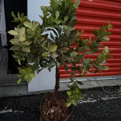 Artificial Plant