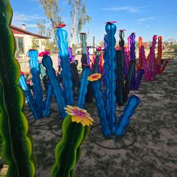 Desert-Perfect Pots 🌞 Terracotta & Talavera