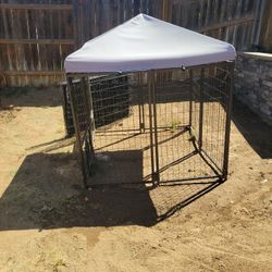 Dog Cage Free