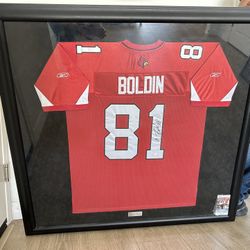 Boldin Jersey 