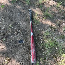 Bat