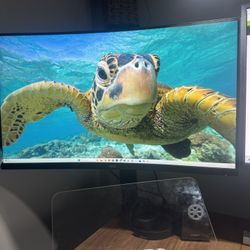 Dell 4k monitor 32 Inch 