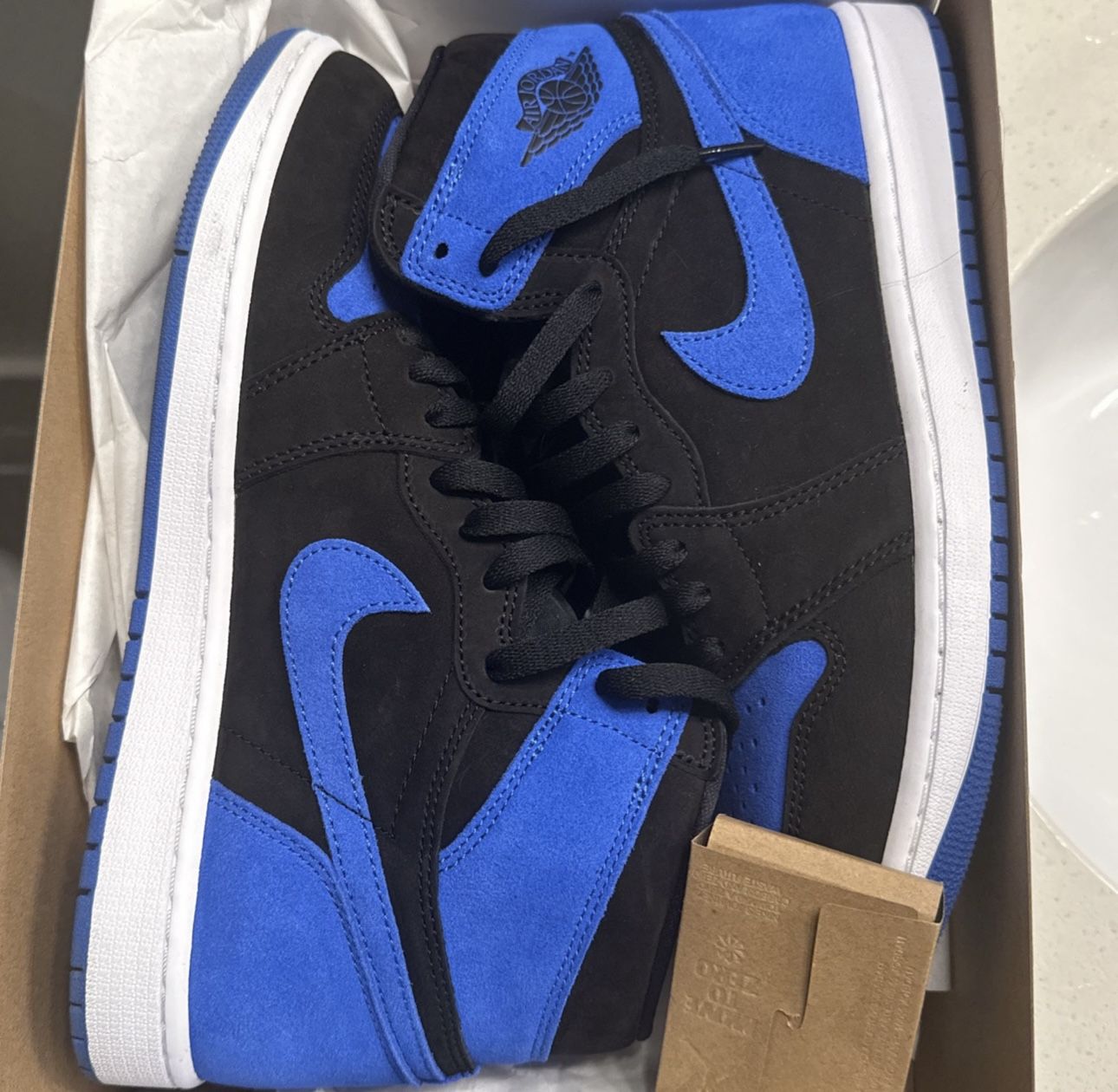 Jordan 1 Size 10
