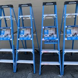 Werner 6 ft. Fiberglass Step Ladder with 250 lb. Load Capacity Type I Duty Rating