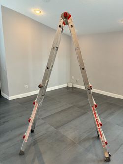 Little Giant Extension Ladder 9-17 ft