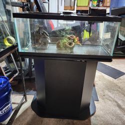 20 Gallon Long Aquarium