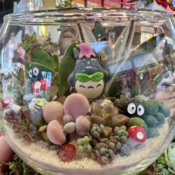 Totoro Character Terrarium Succulent Design
