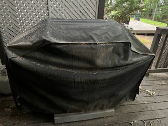 Gas Grill