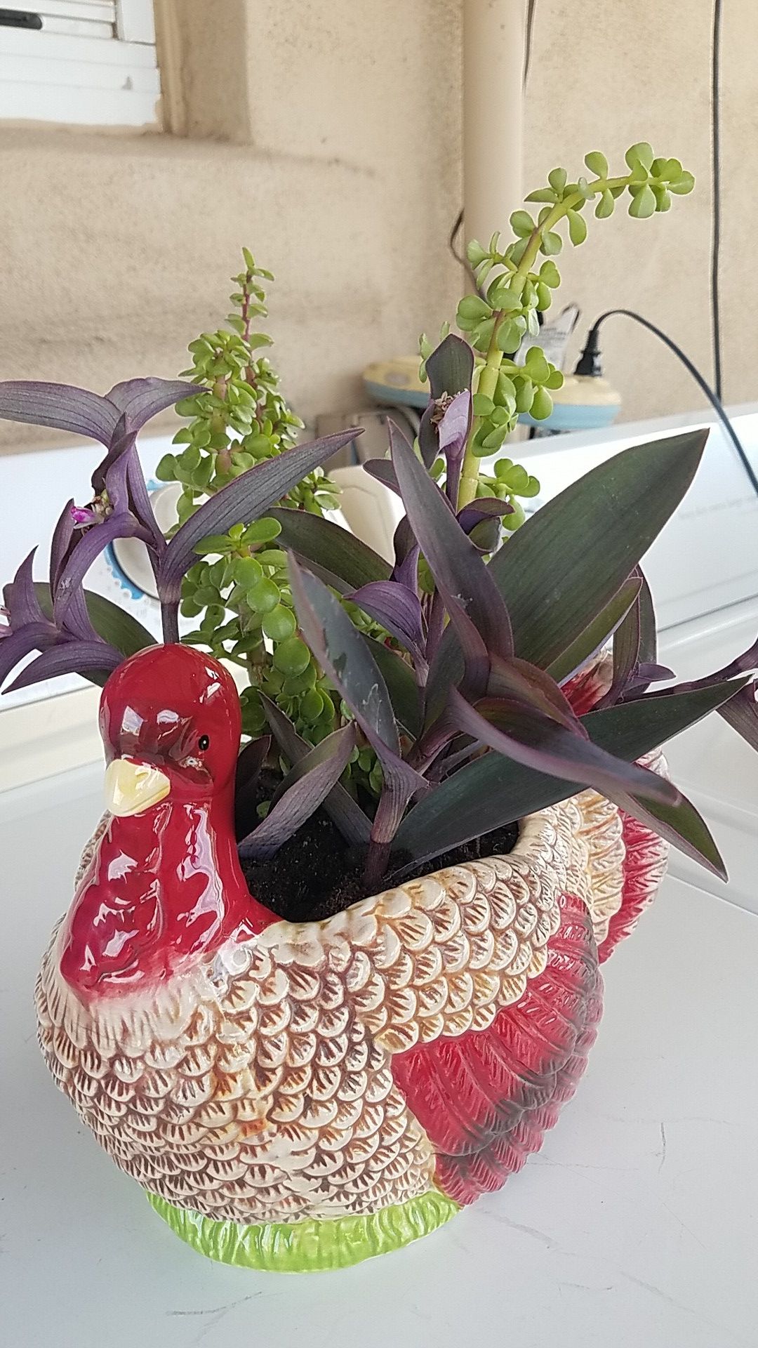 Turkey planter