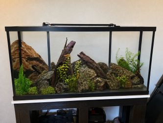 55 Gallon Fish Tank and Stand