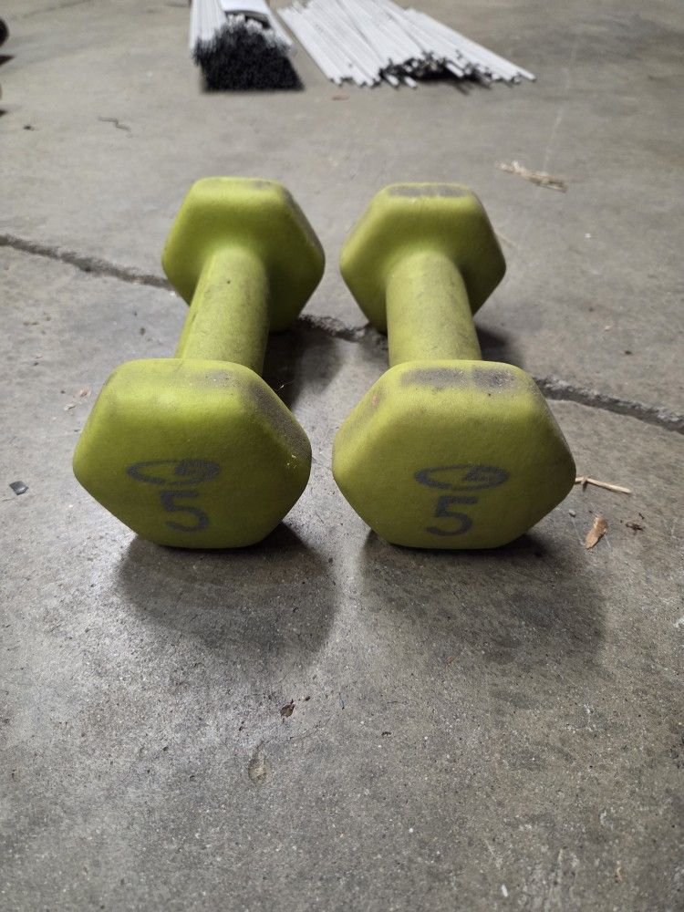 Pair of 5lb Neoprene Coated Dumbbells - Excellent for Home Workouts!