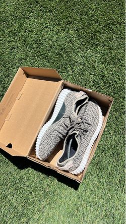 Yeezy 350 Turtle Doove